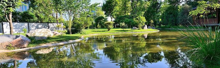 Landscape and garden culture in Tashkent