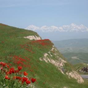 nature of the Fergana Valley